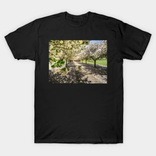 MillBrook Park Tenterfield T-Shirt